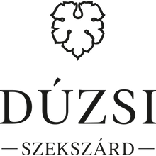 Dúzsi