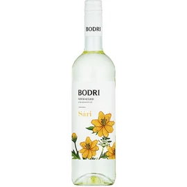 Bodri Chardonney "SÁRI" 2024 DRS